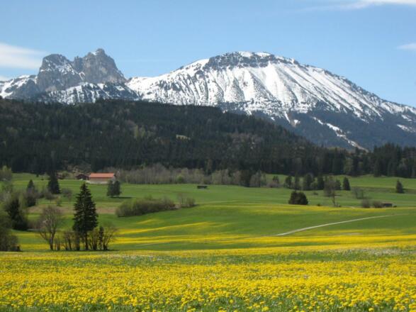 Falkenstein und Breitenberg