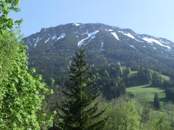 Blick auf den Breitenberg
