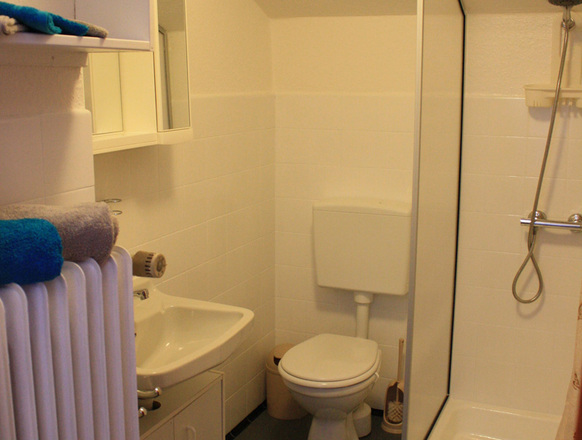 Duschbad in der Ferienwohnung Trissl.jpg
