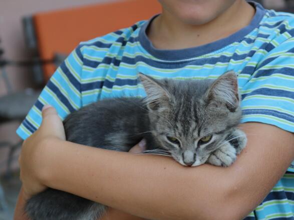 BeimDanner_katzenglück