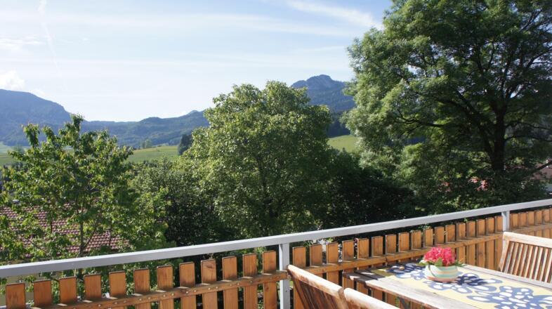 Blick vom Balkon im Sommer