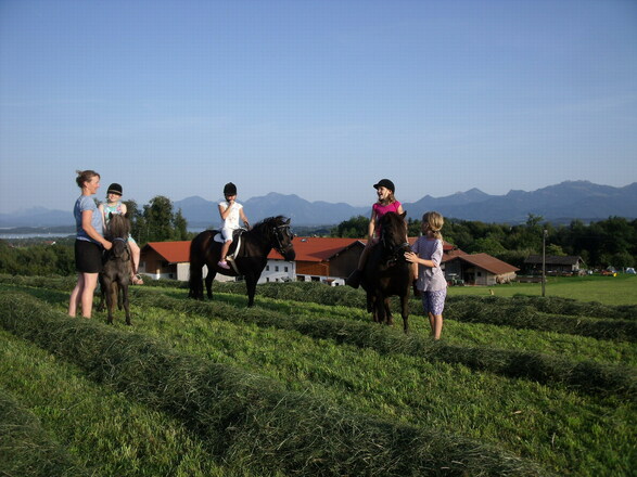 Familienbauernhof Oberhamberg