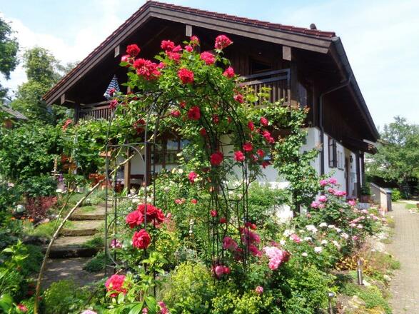 Hausansicht mit Rosenbogen