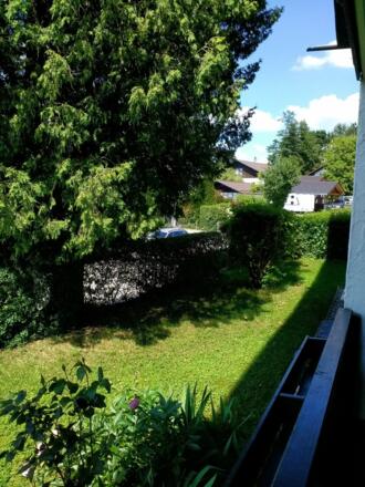 Ausblick auf Vorgarten