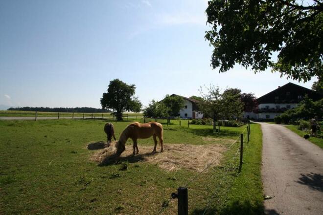 Hofansicht mit eigener Pferdekoppel