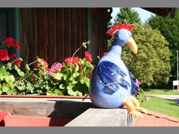 Fridolin der Frühaufsteher