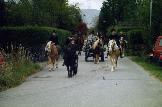 Unsere Pferde beim Leonhardiritt