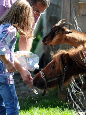 Tiere auf dem Bauernhof