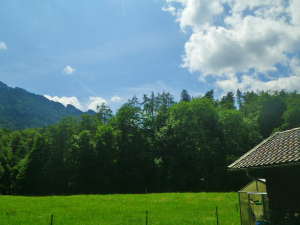 Aussicht vom Haus