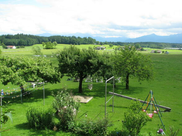 Blick über den Garten