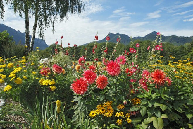 Aussicht in die Berge