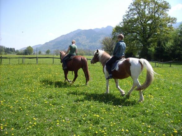 Fetznhof - Zuhaus - Ausritt - Ausflug