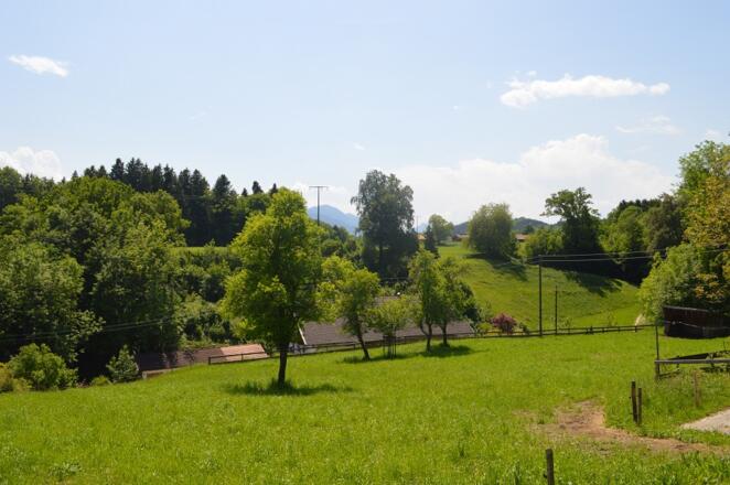 Ausblick vom Ferienhaus Tag-Hof