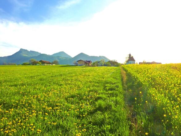 Landschaft um Höhenberg