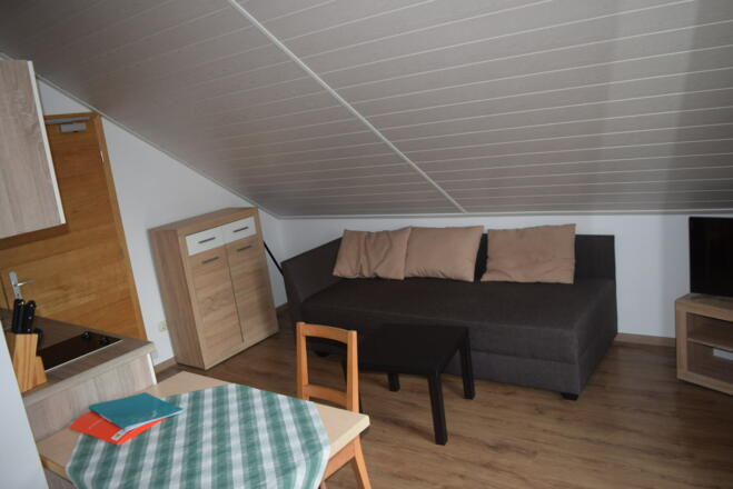 Wohn-/Schlafbereich m. Schlafcouch u. Fernseher