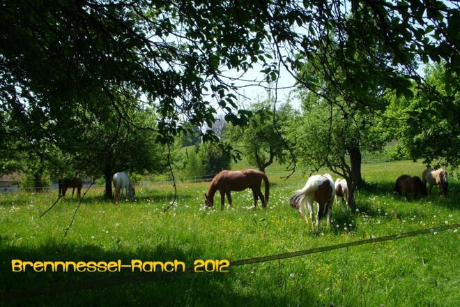 Die Brennesselranch nebenan