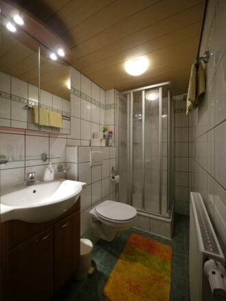 Waschbecken, Dusche, WC