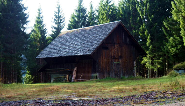 Jagdhütte an der Forststraße