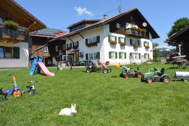Sommer auf dem Veiterhof