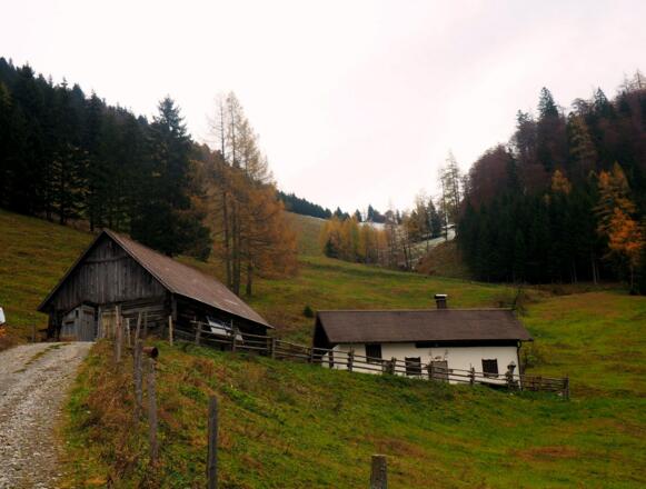 Menaueralm 1115m, Menauersattel im Hintergrund