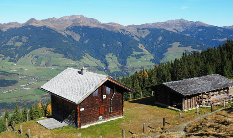 Pölsneralm 1704m