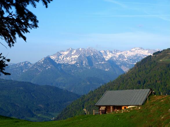 Traunwandalm 1338m mit Tennengebirge