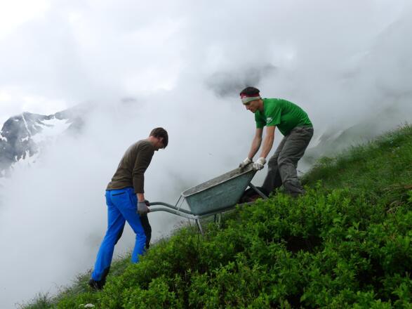 Geländegängiges Fahrzeug?