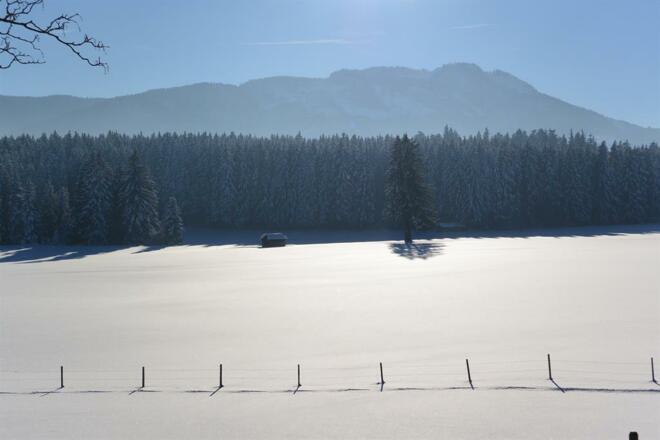 ein herrlicher Winter-Spaziergang zum Attlesee