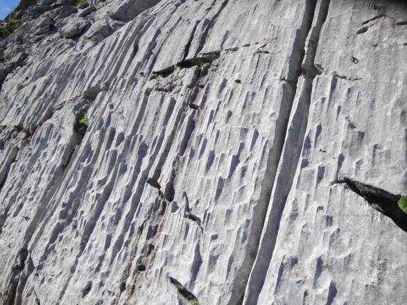 Dachsteinkalk vom Feinsten