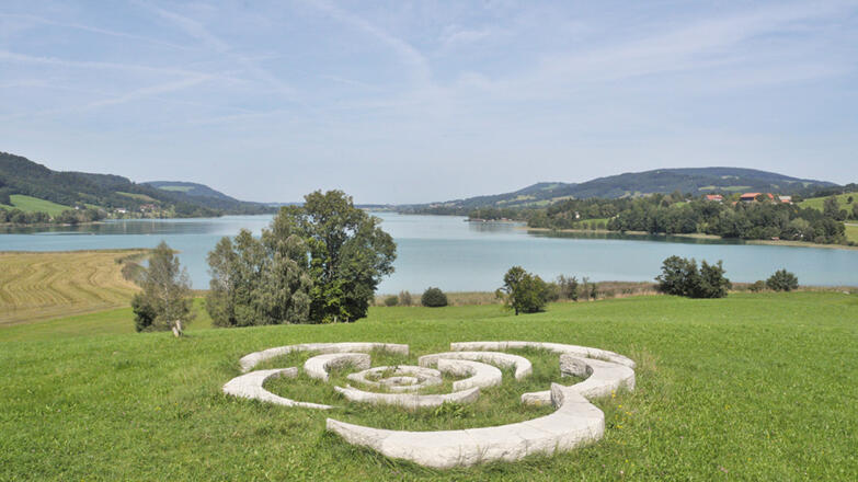 Naturschutzgebiet Irrsee Moore