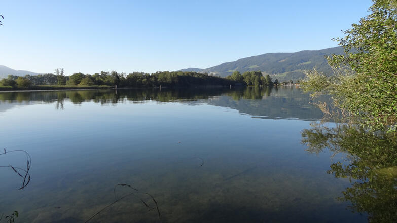 Naturschutzgebiet  Mündung Fuschler Ache