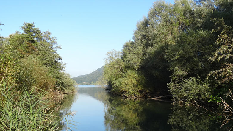 Naturschutzgebiet  Mündung Fuschler Ache