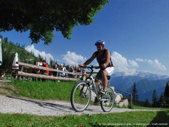 Alpengasthaus Hütteneck in Bad Goisern
