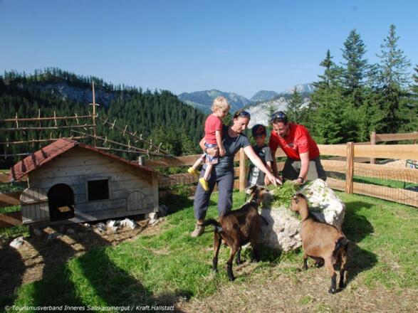 Alpengasthaus Hütteneck in Bad Goisern