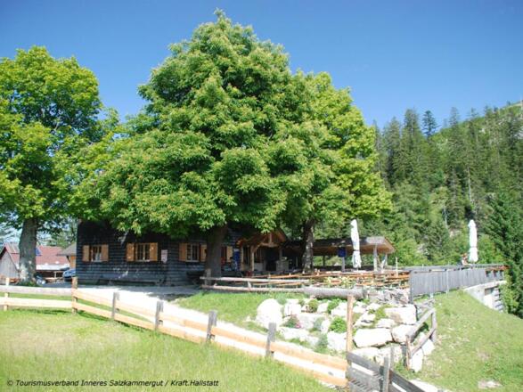 Alpengasthaus Hütteneck in Bad Goisern
