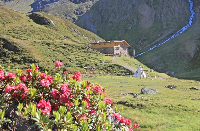Sommerfoto mit der neuen Fassade