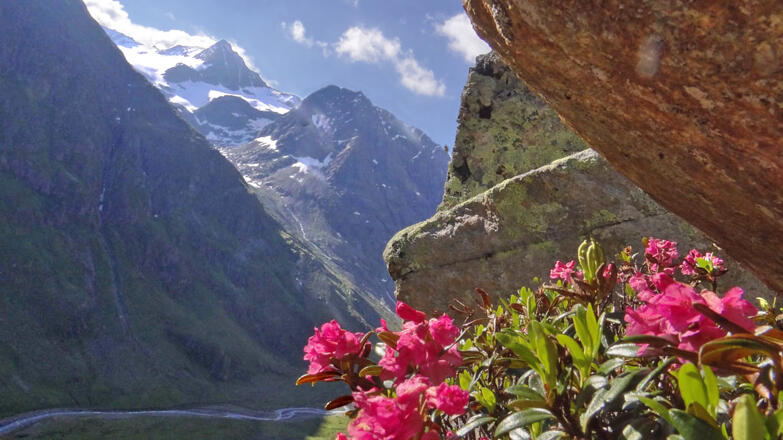 am Zustieg zum Vorderen Sulzkogel Blick zum Bockkogel und Mutterberger Seespitze
