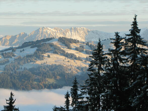 Ausblick auf den Wilden Kaiser