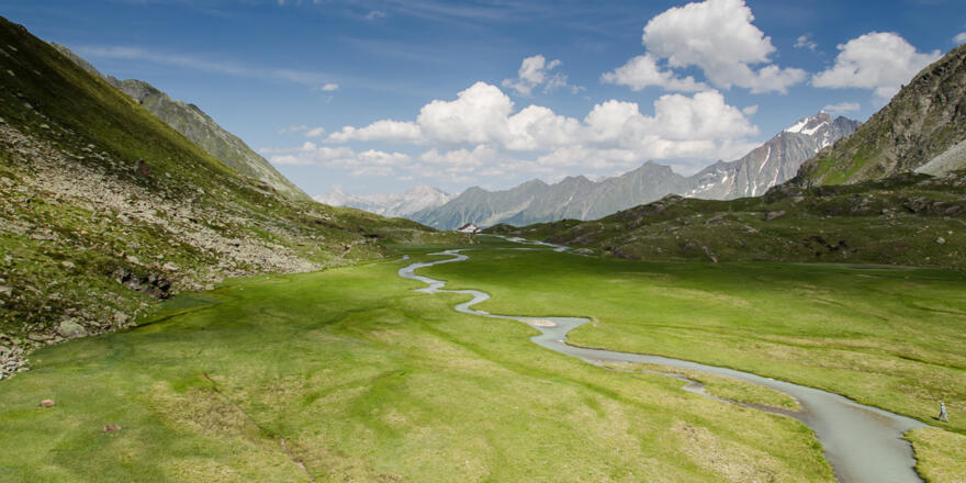 Das einzigartige Hohe Moos direkt hinter der Hütte.