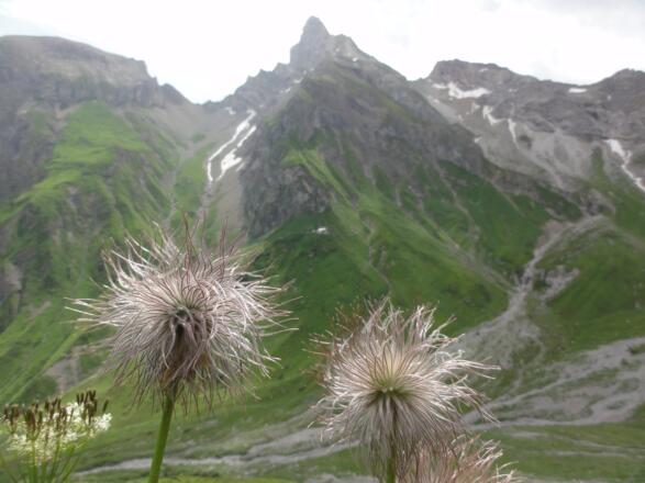 Blick zur Simmshütte von den Kuhköpfen