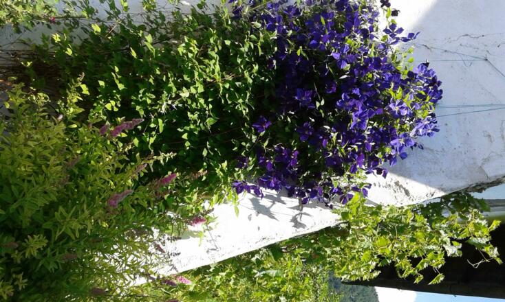 Ferienhaus \&quot;Rosenschlössl\&quot;