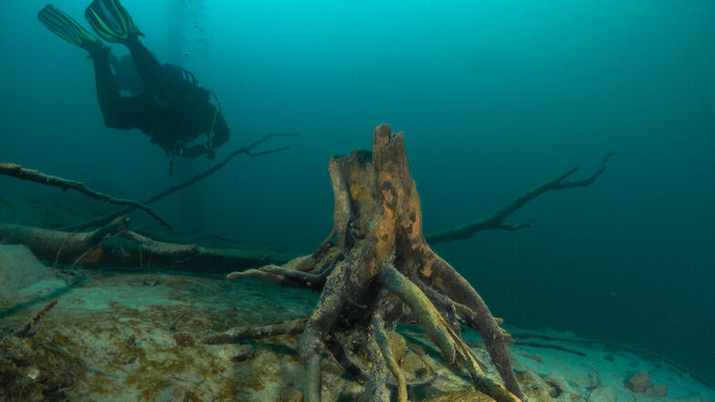 2018-tauchen-twin-towers-1-thorsten-neumeier