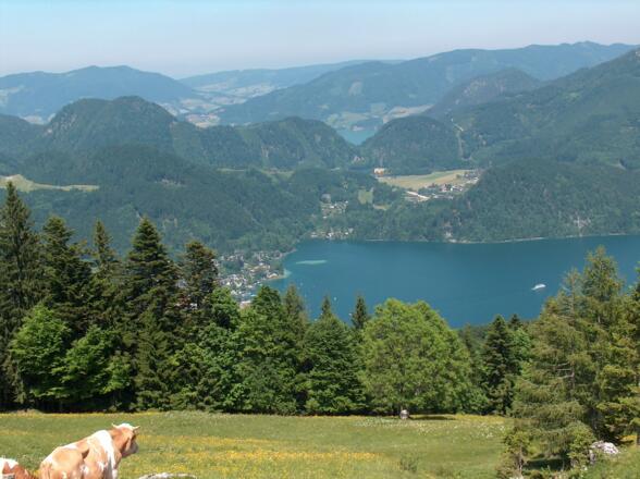 Wolfgangsee und Mondsee