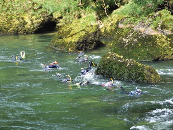 Magic Dive Tauchbasis Traunfall