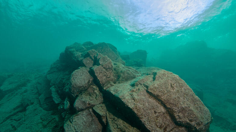2018-tauchen-schwarze-bruecke-8-thorsten-neumeier