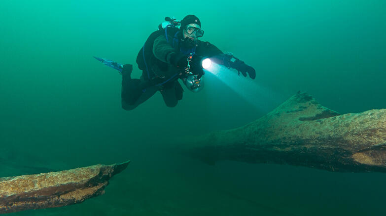 2018-tauchen-unterwasserwald-3-thorsten-neumeier