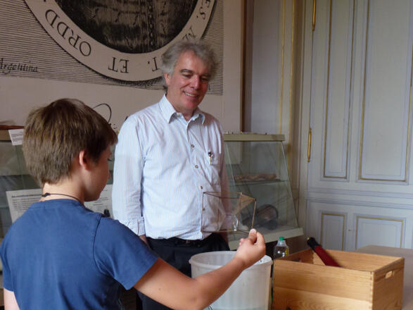 PKS - Villa Rothstein