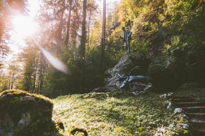 Kaiser Jagdstandbild