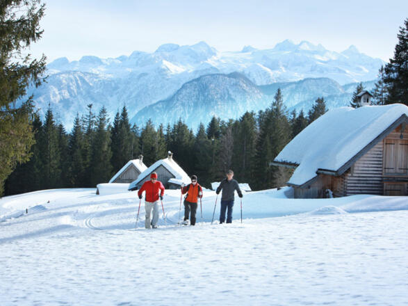 Sport Zopf in Bad Goisern