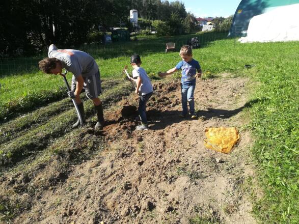Eigener Gemüseanbau für Gäste-Verpflegung
